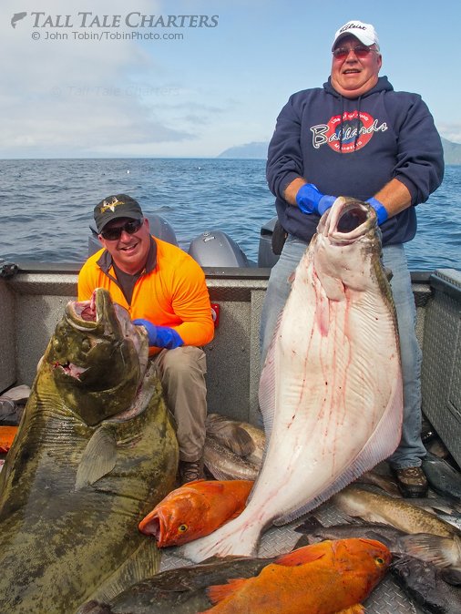 Huge Halibut